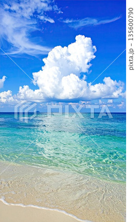 《AI画像》真夏のビーチイメージ 135600790