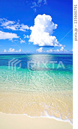 《AI画像》真夏のビーチイメージ 《AI画像》真夏のビーチイメージ 135600791