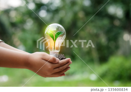 Renewable energy concept Earth Day or environment protection Hands protect forests that grow on the ground and help save the world. Renewable energy concept Earth Day or environment protection Hands protect forests that grow on the ground and help save the world. 135600834