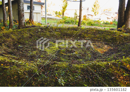 縄文時代の竪穴住居跡　白馬村 135601182