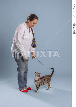 Fun, playing with animal. Female veterinarian is with Bengal cat Fun, playing with animal. Female veterinarian is with Bengal cat 135601527