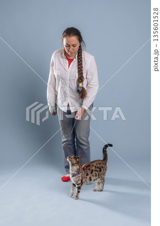 Fun, playing with animal. Female veterinarian is with Bengal cat Fun, playing with animal. Female veterinarian is with Bengal cat 135601528