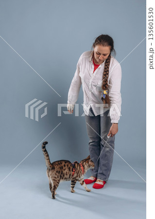 Fun, playing with animal. Female veterinarian is with Bengal cat Fun, playing with animal. Female veterinarian is with Bengal cat 135601530