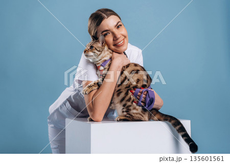 Female veterinarian is with Bengal cat Female veterinarian is with Bengal cat 135601561