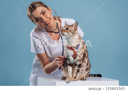 Using stethoscope. Female veterinarian is with Bengal cat Using stethoscope. Female veterinarian is with Bengal cat 135601565