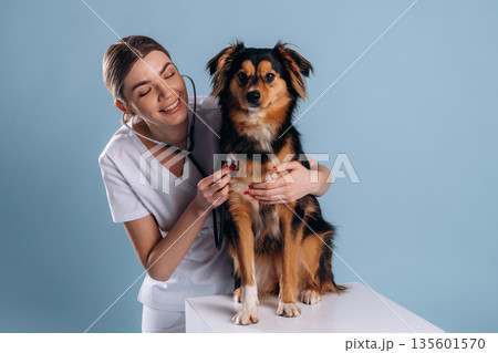 Front view, posing. Woman veterinarian is with mixed-breed dog 135601570
