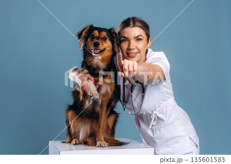 Woman veterinarian is with mixed-breed dog Woman veterinarian is with mixed-breed dog 135601583