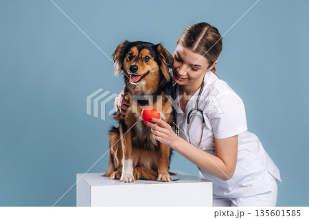 Small read heart, healthcare. Woman veterinarian is with mixed-breed dog 135601585