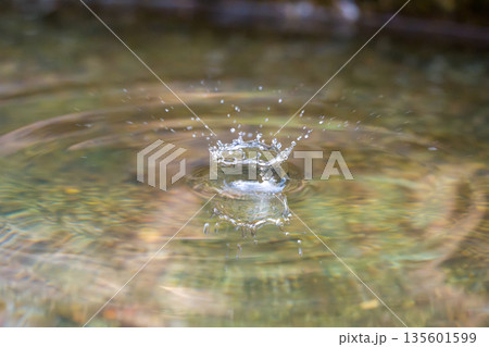 水面に落ちた波紋 135601599