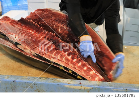 マグロ職人に捌かれる生の本マグロ 135601795