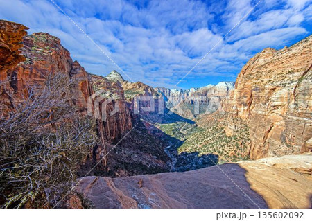 Panoramic canyon landscape under blue sky 135602092