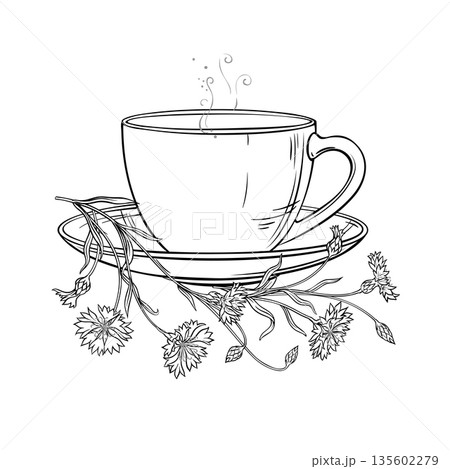 Cup of Corn Flower Tea Outline Illustration. 135602279