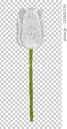 [White tulips] Hand-embroidered illustration material 135602316