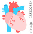 簡略化された心臓のイラスト 135602364