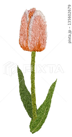 【オレンジ色のチューリップ】手刺繍イラスト素材 135602679