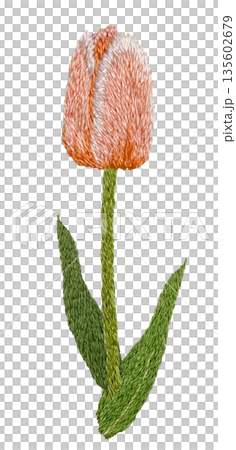 【オレンジ色のチューリップ】手刺繍イラスト素材 135602679