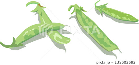 さやえんどうのイラスト 135602692