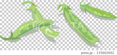 さやえんどうのイラスト 135602692