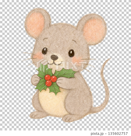 【聖誕節】色鉛筆插畫，一隻老鼠拿著一片冬青葉 135602757