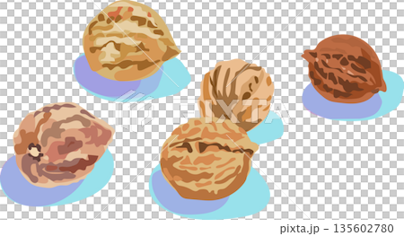 Walnut illustration Walnut illustration 135602780