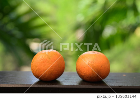 Two Fresh Oranges with Tropical Leaves Background for Healthy Lifestyle Concept 135603144