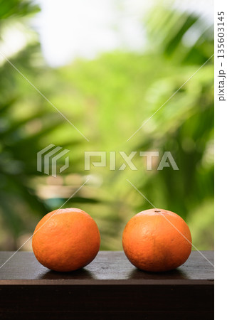 Two Fresh Oranges with Tropical Leaves Background for Healthy Lifestyle Concept 135603145