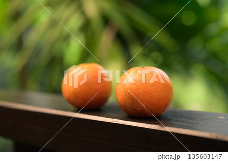 Two Fresh Oranges with Tropical Leaves Background for Healthy Lifestyle Concept Two Fresh Oranges with Tropical Leaves Background for Healthy Lifestyle Concept 135603147