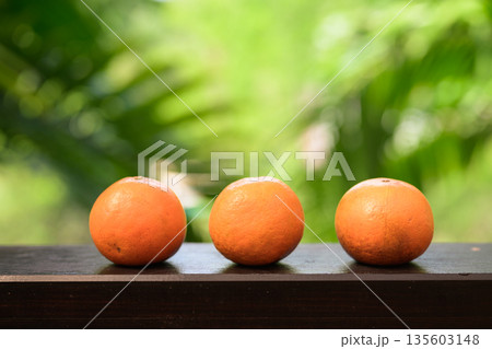 Three Fresh Oranges with Tropical Leaves Background for Healthy Lifestyle Concept 135603148