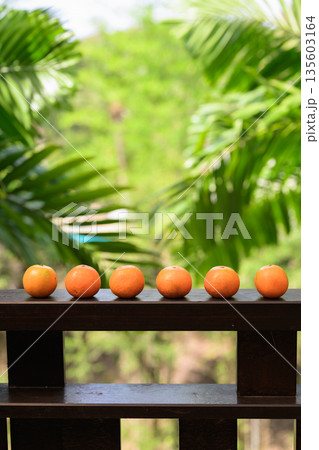 Many Fresh Oranges with Tropical Leaves Background for Healthy Lifestyle Concept Many Fresh Oranges with Tropical Leaves Background for Healthy Lifestyle Concept 135603164