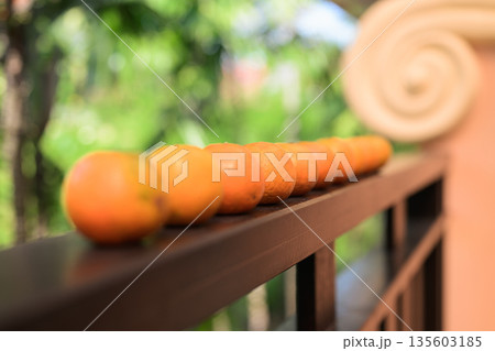 Many Fresh Oranges with Tropical Leaves Background for Healthy Lifestyle Concept 135603185