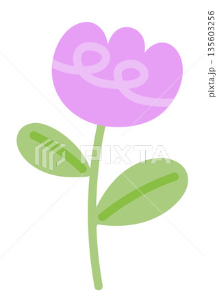 Purple tulip flower with green leaves for nature, garden, tree, plants, blossom, blooming, park, picnic, home yard, sticker, cartoon, floral print, decoration, patch, brooch, pin, tattoo, icon 135603256