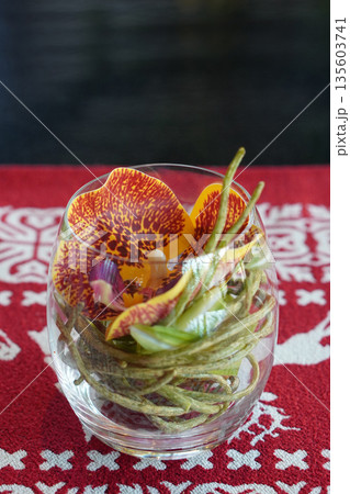 top view Yellow and red orchids and curled branches surround clear glass, placed on a carpet of red, white, and black background, nature, decor, decoration, gift, fashion, copy space 135603741