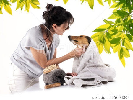 Shetland Sheepdog and woman in studio Shetland Sheepdog and woman in studio 135603805