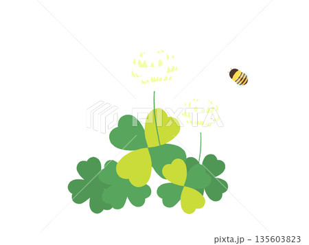 蜜蜂とシロツメグサ 蜜蜂とシロツメグサ 135603823