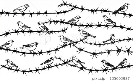 birds seamless pattern on white background birds seamless pattern on white background 135603987