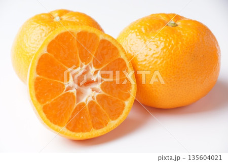 おいしい有田みかん おいしい有田みかん 135604021