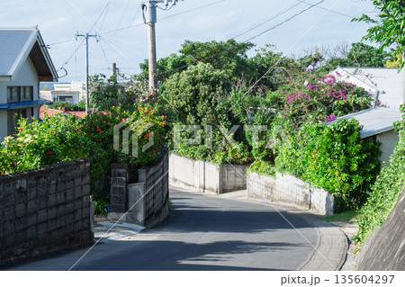 アニメ風の夏の坂道、ブーゲンビリアとハイビスカスが咲く日本の住宅街（背景素材・コピースペース） 135604297