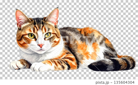 ネコのイラスト(横を向いて座る猫) ネコのイラスト(横を向いて座る猫) 135604304