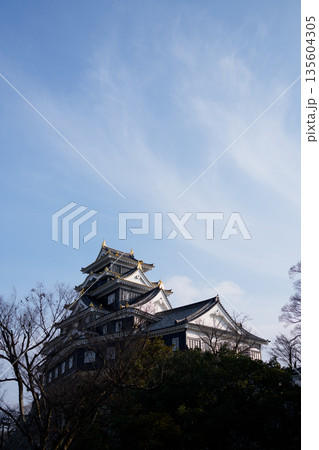 岡山城 135604305