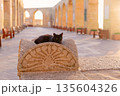 Black cat at Upper Barrakka Gardens in Valletta Malta 135604326