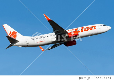 タイライアンエアB737-800離陸上昇 タイライアンエアB737-800離陸上昇 135605574