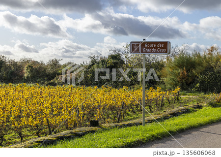 Route des Grands Crus sign in Meursault, Bourgogne vineyard Route des Grands Crus sign in Meursault, Bourgogne vineyard 135606068