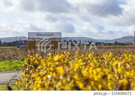 Meursault Vins de Bourgogne sign displaying vineyard autumn colors 135606071