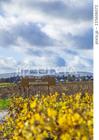 Meursault Vins de Bourgogne sign welcoming visitors Meursault Vins de Bourgogne sign welcoming visitors 135606072
