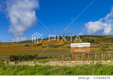 Chassagne Montrachet road sign among autumn Bourgogne vineyards 135606078