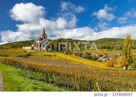 Hunawihr village church among changing autumn vineyards 135606097