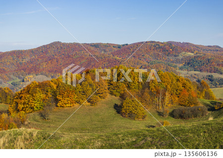 Autumn forest landscape in Banska Stiavnica, Slovakia Autumn forest landscape in Banska Stiavnica, Slovakia 135606136