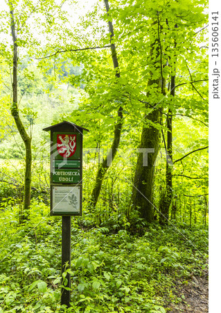 Podtrosecka Valley Nature Reserve sign in green forest Podtrosecka Valley Nature Reserve sign in green forest 135606141