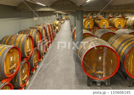 Wine barrels aging in a traditional Piedmont cellar 135606195