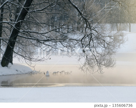 Winter walk along the river on a sunny misty morning. 135606736